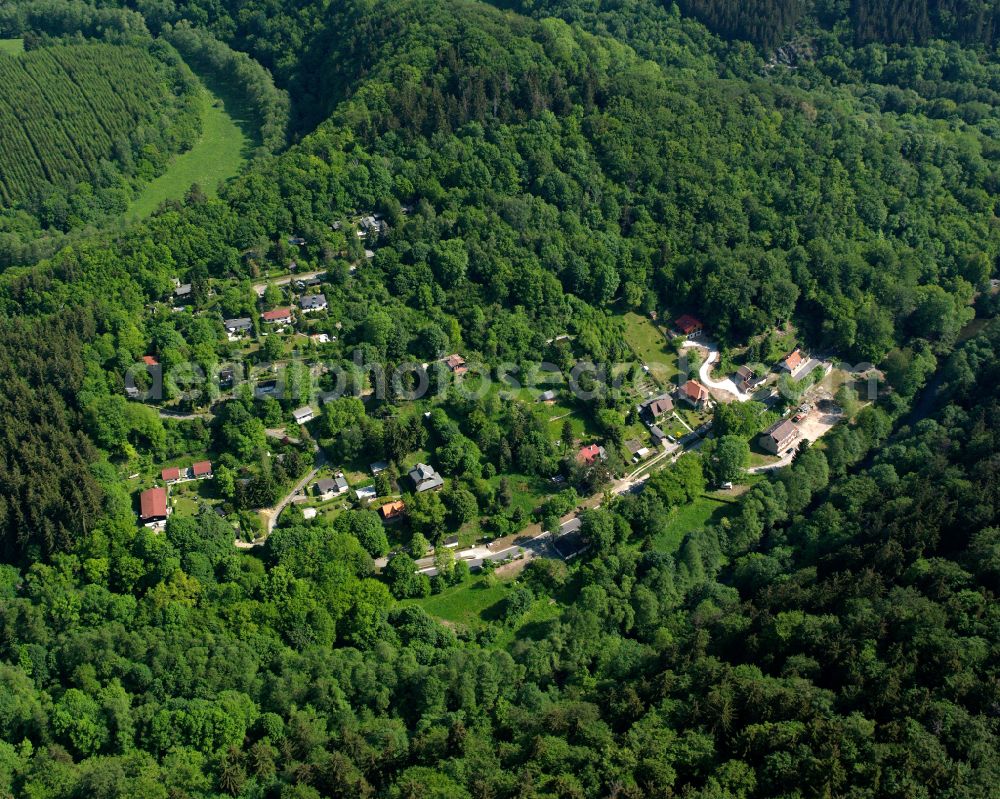 Treseburg from the bird's eye view: Village - view on the edge of forested areas in Treseburg in the state Saxony-Anhalt, Germany