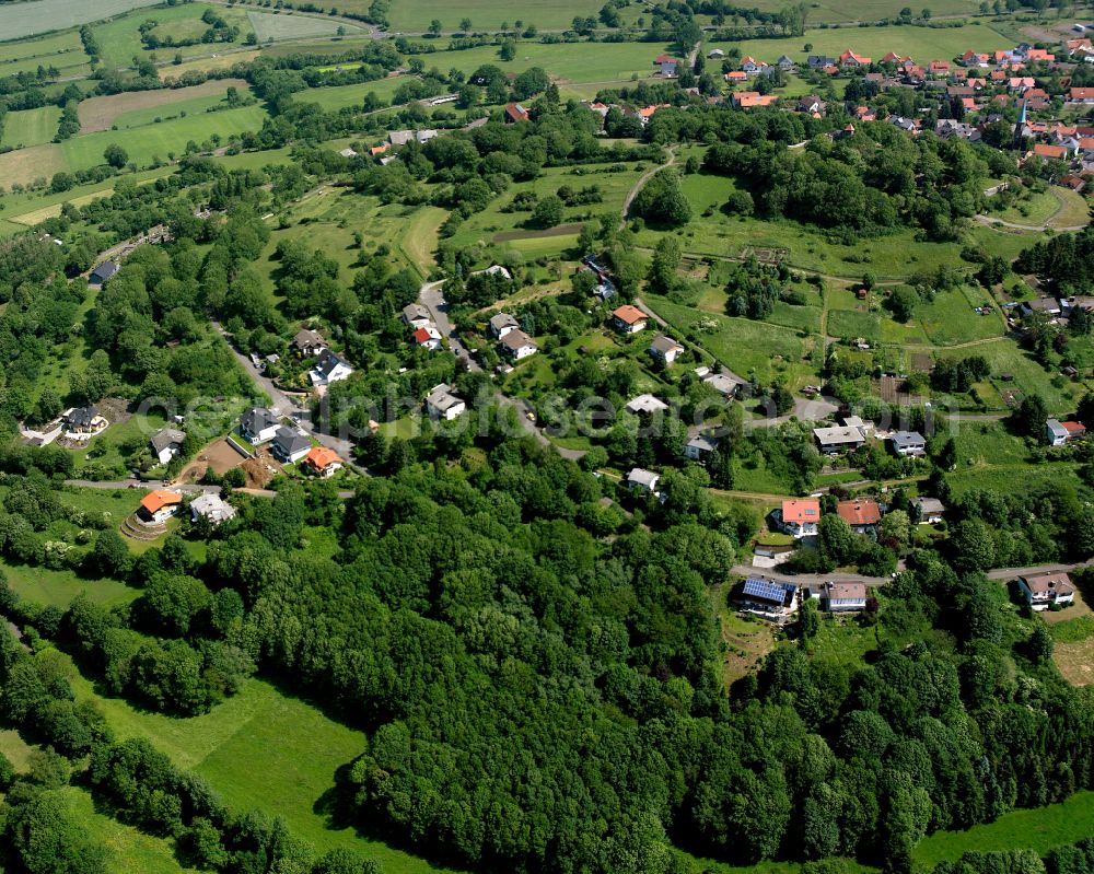 Ulrichstein from the bird's eye view: Village - view on the edge of forested areas in Ulrichstein in the state Hesse, Germany