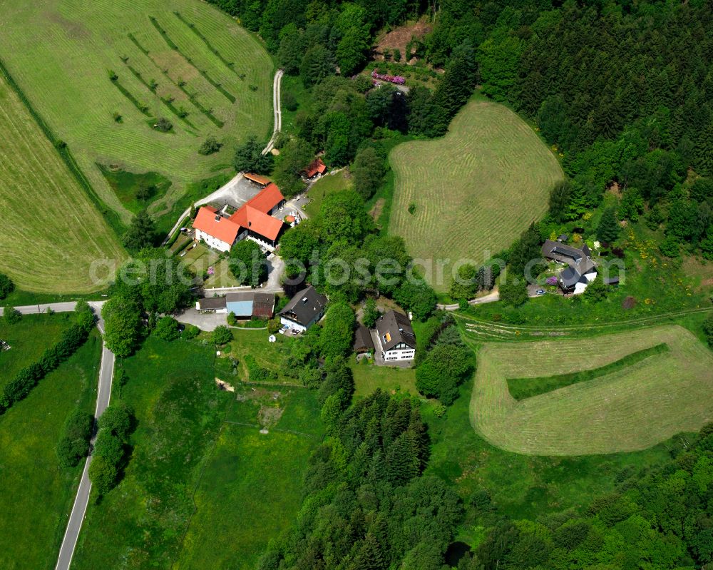 Valbert from the bird's eye view: Village - view on the edge of forested areas in Valbert in the state North Rhine-Westphalia, Germany