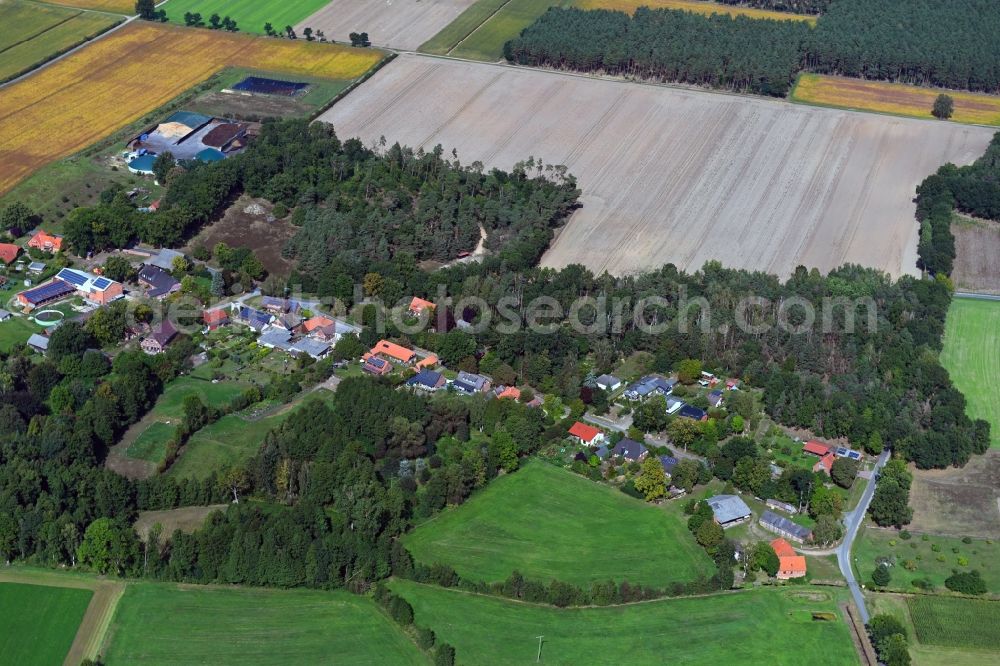 Aerial image Volkfien - Village - view on the edge of forested areas in Volkfien in the state Lower Saxony, Germany