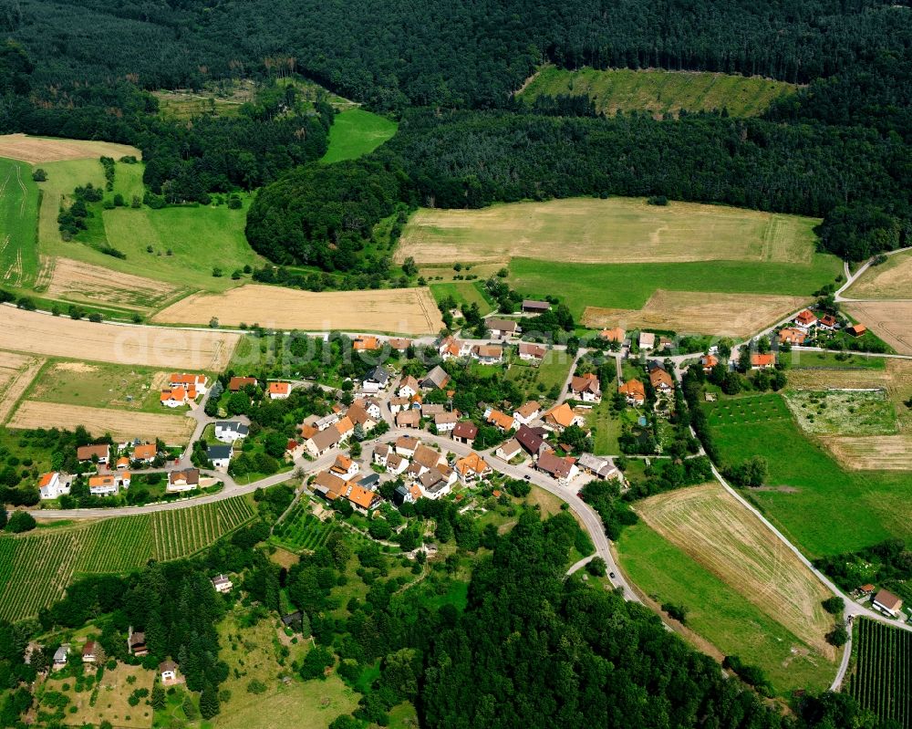 Aerial photograph Vorhof - Village - view on the edge of forested areas in Vorhof in the state Baden-Wuerttemberg, Germany