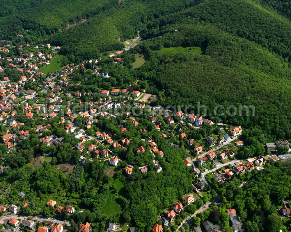 Wernigerode from above - Village - view on the edge of forested areas in Wernigerode in the Harz in the state Saxony-Anhalt, Germany