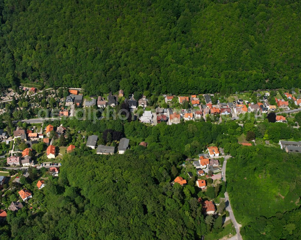 Wernigerode from the bird's eye view: Village - view on the edge of forested areas in Wernigerode in the Harz in the state Saxony-Anhalt, Germany