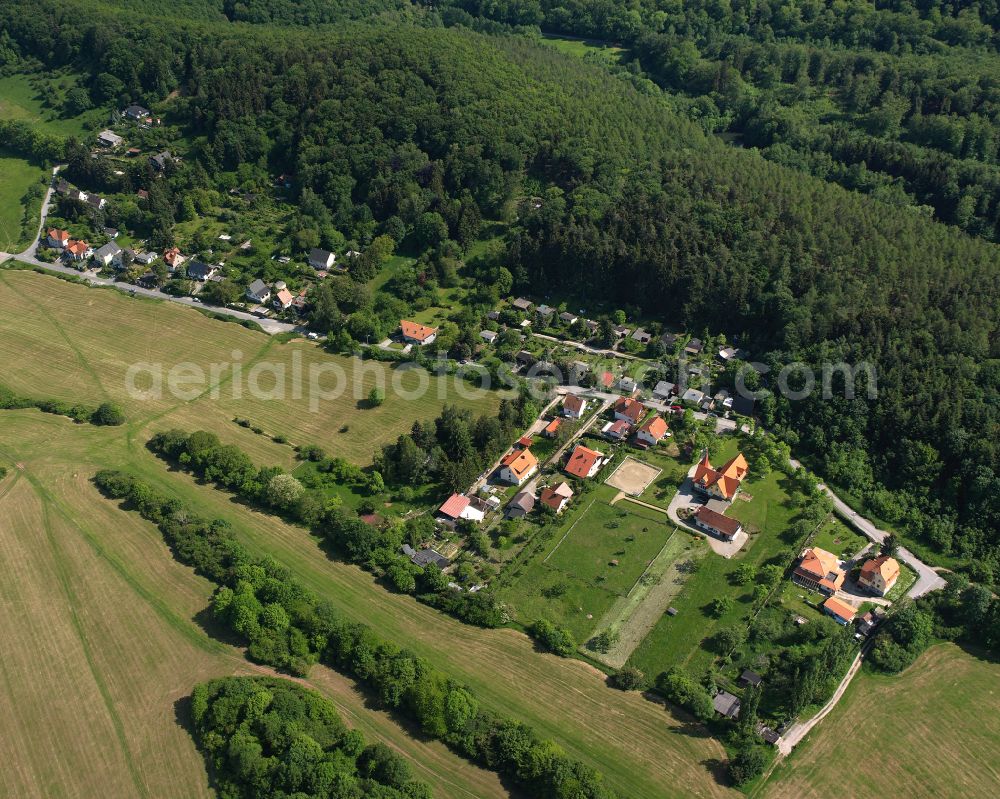 Aerial image Wernigerode - Village - view on the edge of forested areas in Wernigerode in the Harz in the state Saxony-Anhalt, Germany