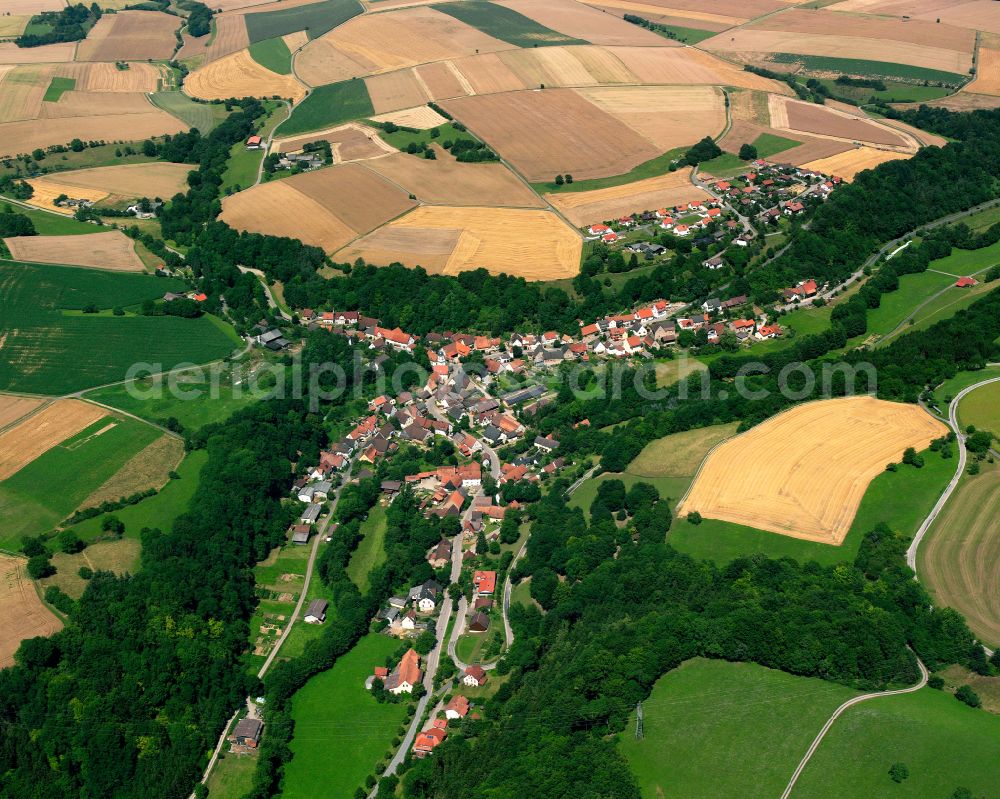 Aerial photograph Widdern - Village - view on the edge of forested areas in Widdern in the state Baden-Wuerttemberg, Germany