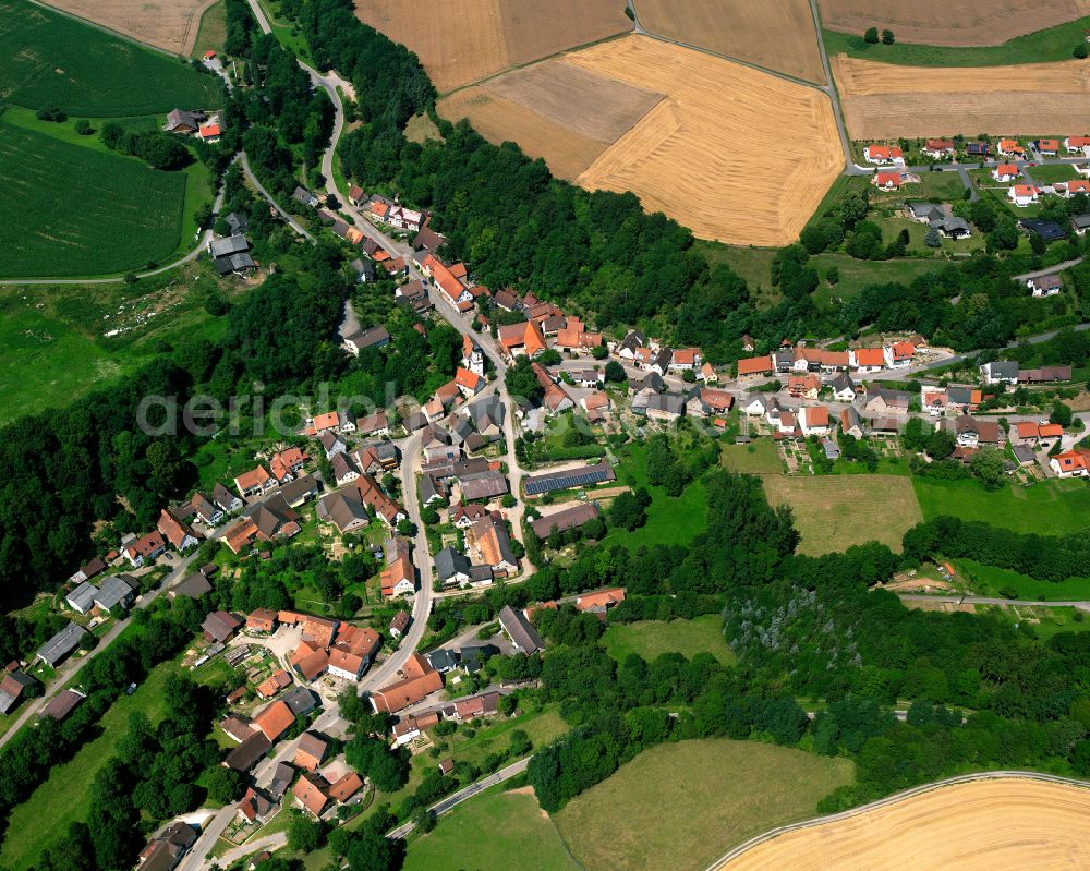 Widdern from the bird's eye view: Village - view on the edge of forested areas in Widdern in the state Baden-Wuerttemberg, Germany