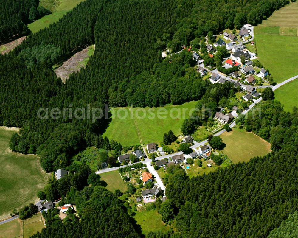 Winzenberg from above - Village - view on the edge of forested areas in Winzenberg in the state North Rhine-Westphalia, Germany