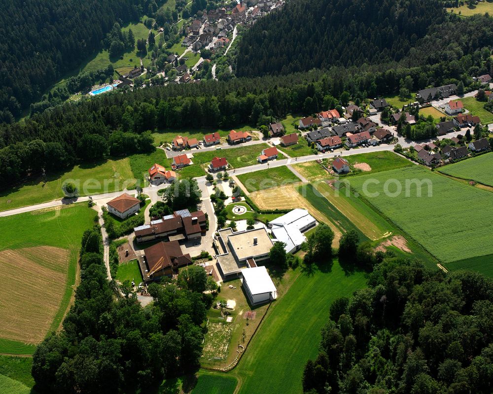 Zavelstein from above - Village - view on the edge of forested areas in Zavelstein in the state Baden-Wuerttemberg, Germany