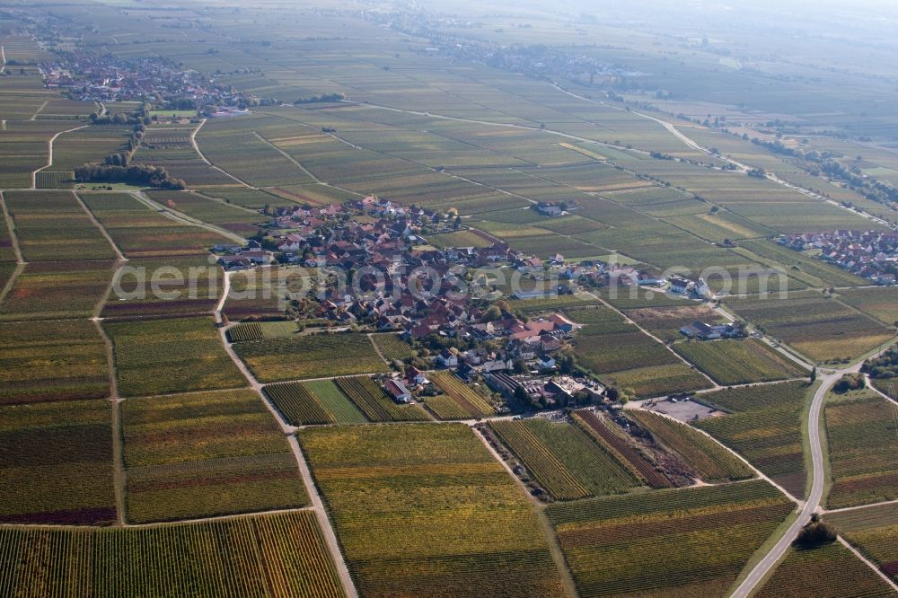 Flemlingen from above - Village - view on the edge of wine yards in Flemlingen in the state Rhineland-Palatinate, Germany