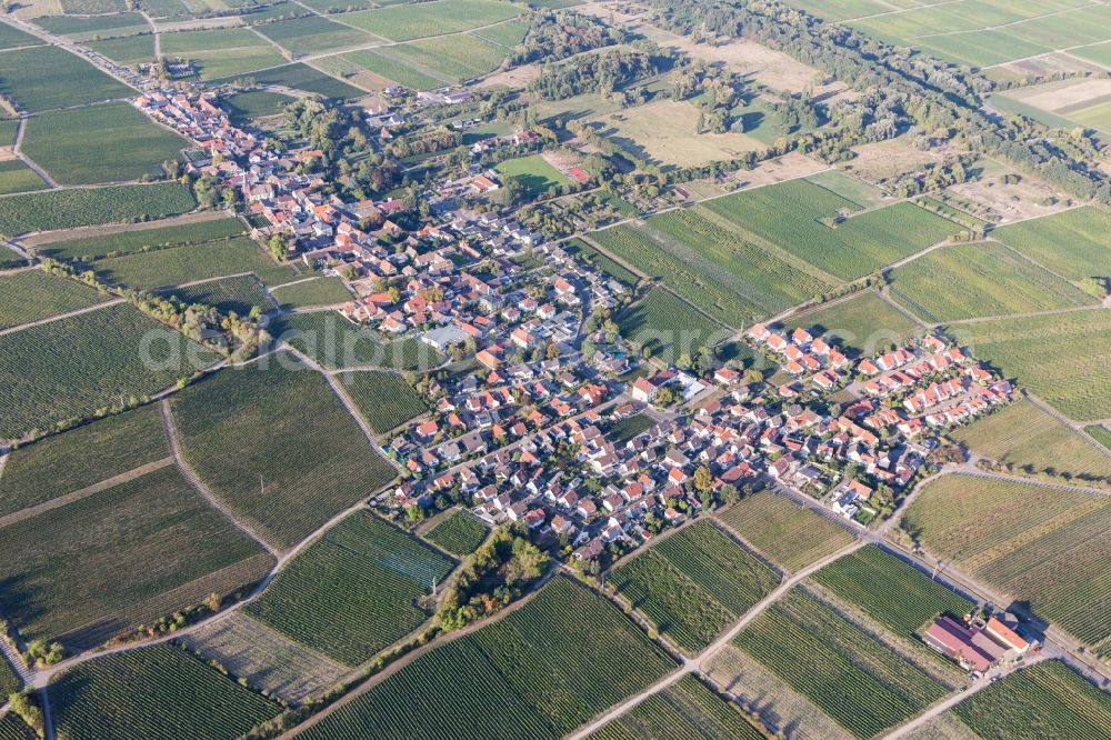 Forst an der Weinstraße from above - Village - view on the edge of wine yards in Forst an der Weinstrasse in the state Rhineland-Palatinate