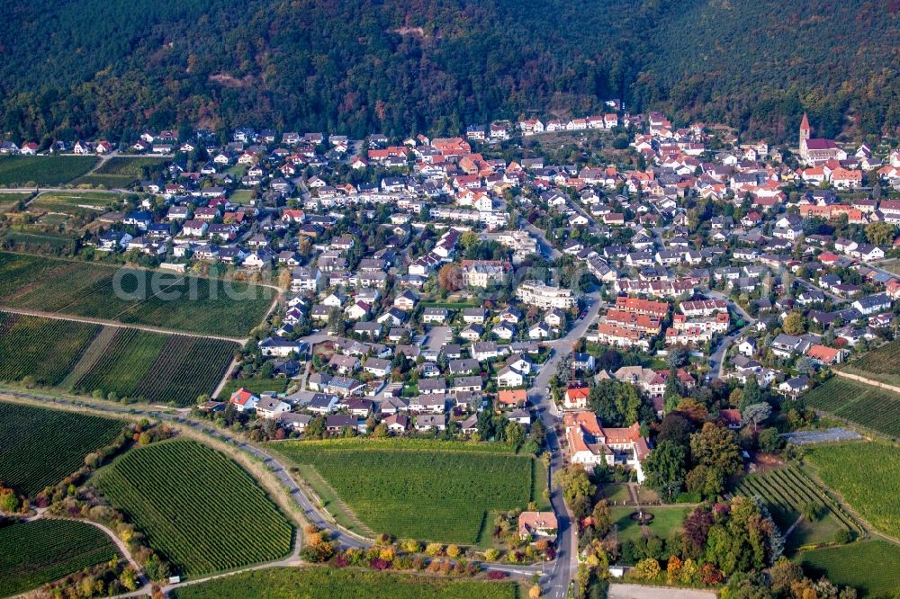 Neustadt an der Weinstraße from above - Village - view on the edge of wine yards in the district Koenigsbach in Neustadt an der Weinstrasse in the state Rhineland-Palatinate, Germany