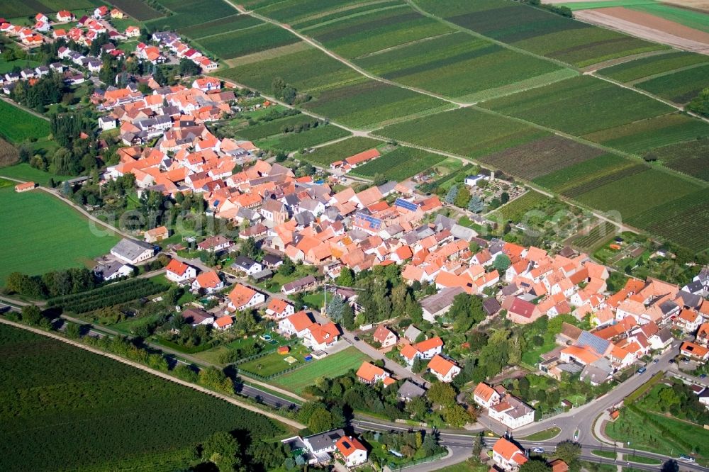 Aerial image Niederhorbach - Village - view on the edge ofwine yards in Niederhorbach in the state Rhineland-Palatinate