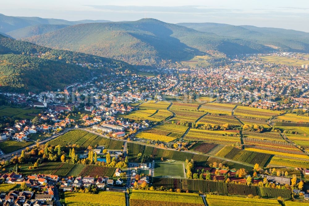 Aerial image Neustadt an der Weinstraße - Village - view on the edge of wine yards in the district Hambach in Neustadt an der Weinstrasse in the state Rhineland-Palatinate, Germany