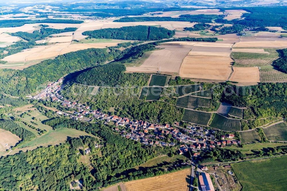 Aerial photograph Raumbach - Agricultural land and field borders surround the settlement area of the village in Raumbach in the state Rhineland-Palatinate, Germany