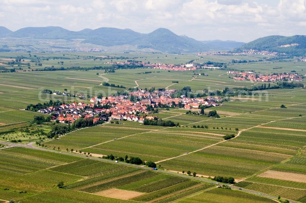 Roschbach from above - Village - view on the edge of wine yards in Roschbach in the state Rhineland-Palatinate, Germany fields and farml