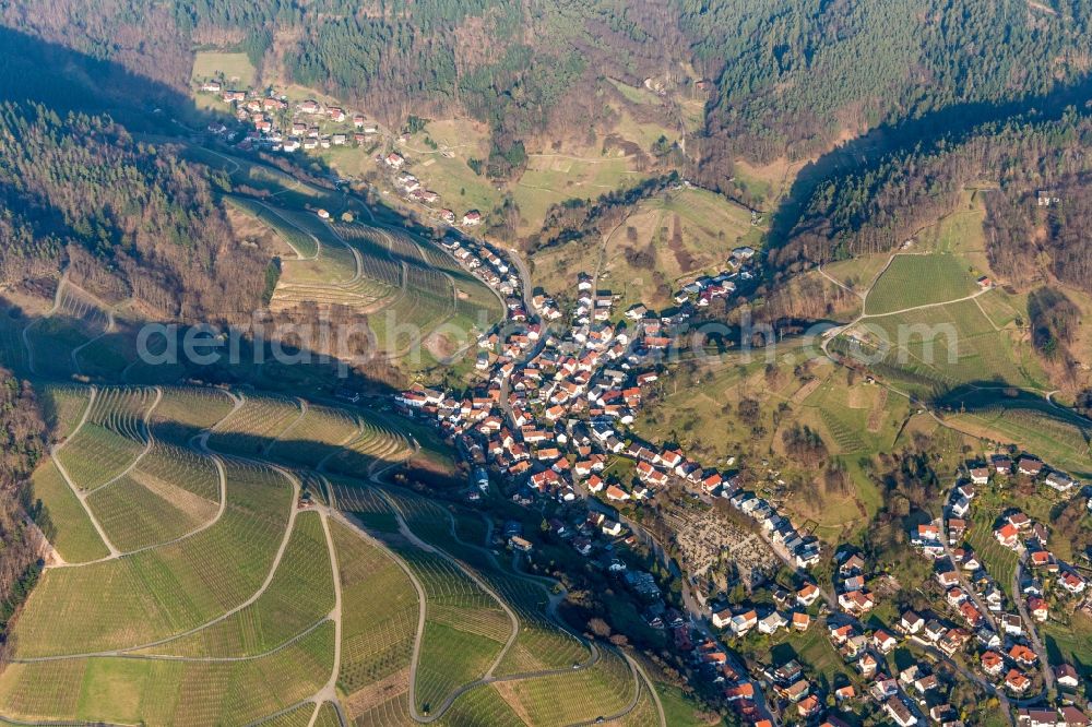 Bühlertal from the bird's eye view: Village - view on the edge of wineayrds in the black forest in Buehlertal in the state Baden-Wuerttemberg, Germany