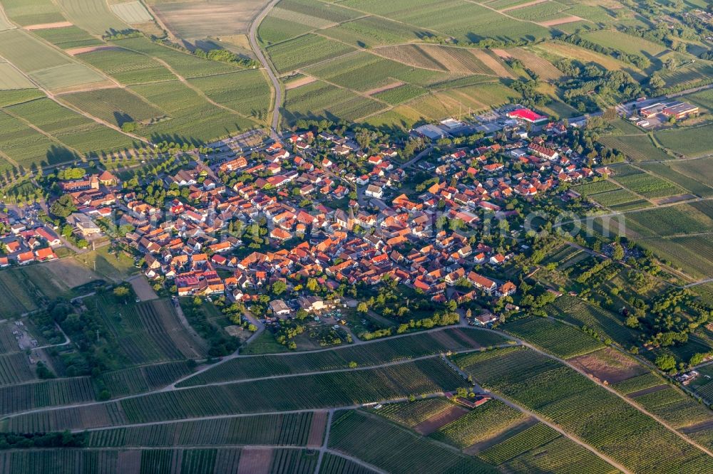 Aerial image Schweigen - Village - view on the edge of wine yards in Schweigen in the state Rhineland-Palatinate, Germany