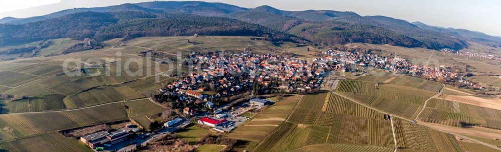 Aerial image Schweigen - Village - view on the edge of wine yards in Schweigen in the state Rhineland-Palatinate, Germany