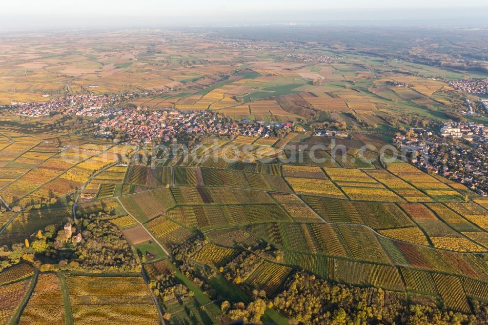 Aerial image Schweigen - Village - view on the edge of wine yards in Schweigen in the state Rhineland-Palatinate, Germany