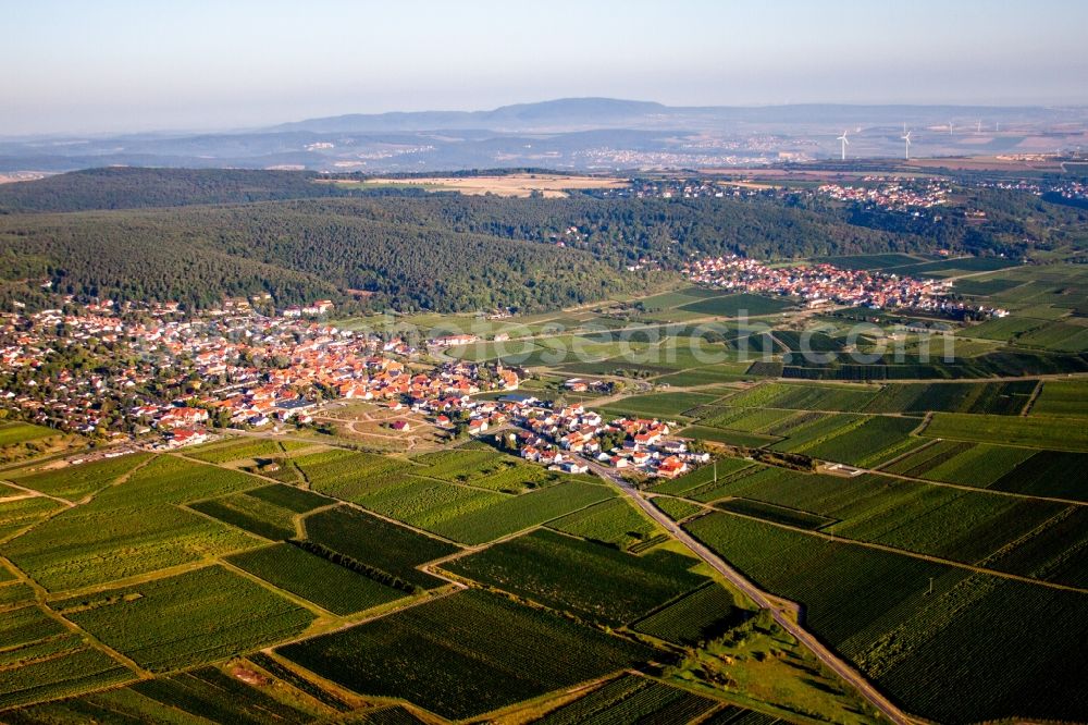 Weisenheim am Berg from the bird's eye view: Village - view on the edge of wine yards in Weisenheim am Berg in the state Rhineland-Palatinate, Germany