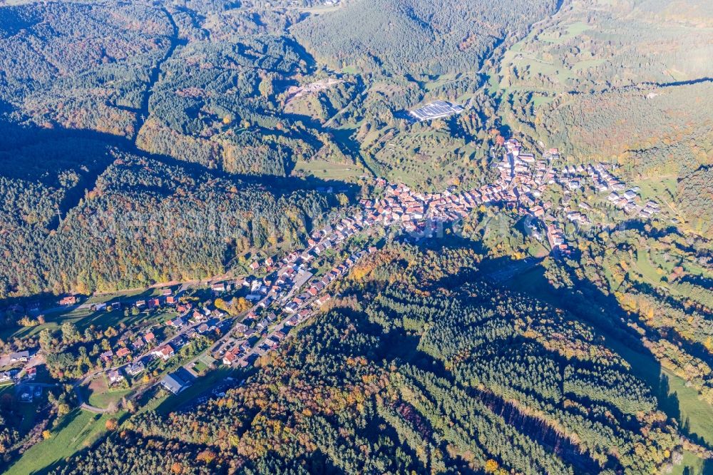 Aerial photograph Schwanheim - Village - view on the edge of forests in Schwanheim in the state Rhineland-Palatinate, Germany