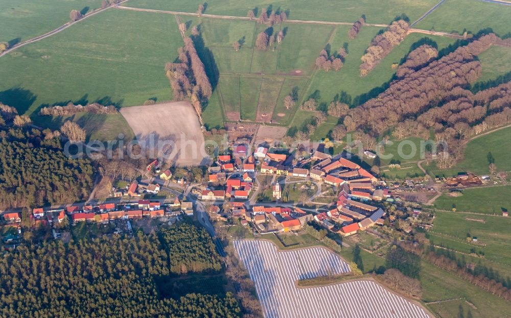 Aerial image Reesdorf - Village view Reesdorf in Beelitz in the state Brandenburg, Germany