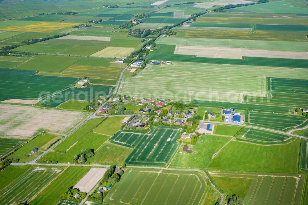 Rodenäs from above - Village view in Rodenaes in the state Schleswig-Holstein, Germany