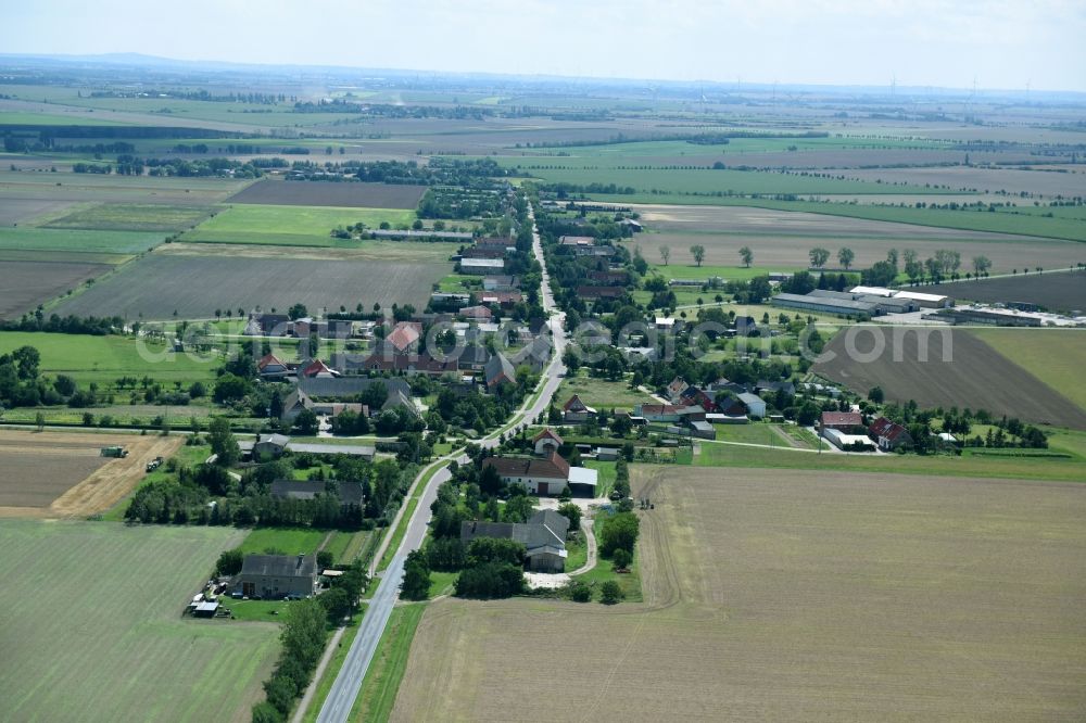 Sachsendorf from the bird's eye view: Village view in Sachsendorf in the state Saxony-Anhalt, Germany