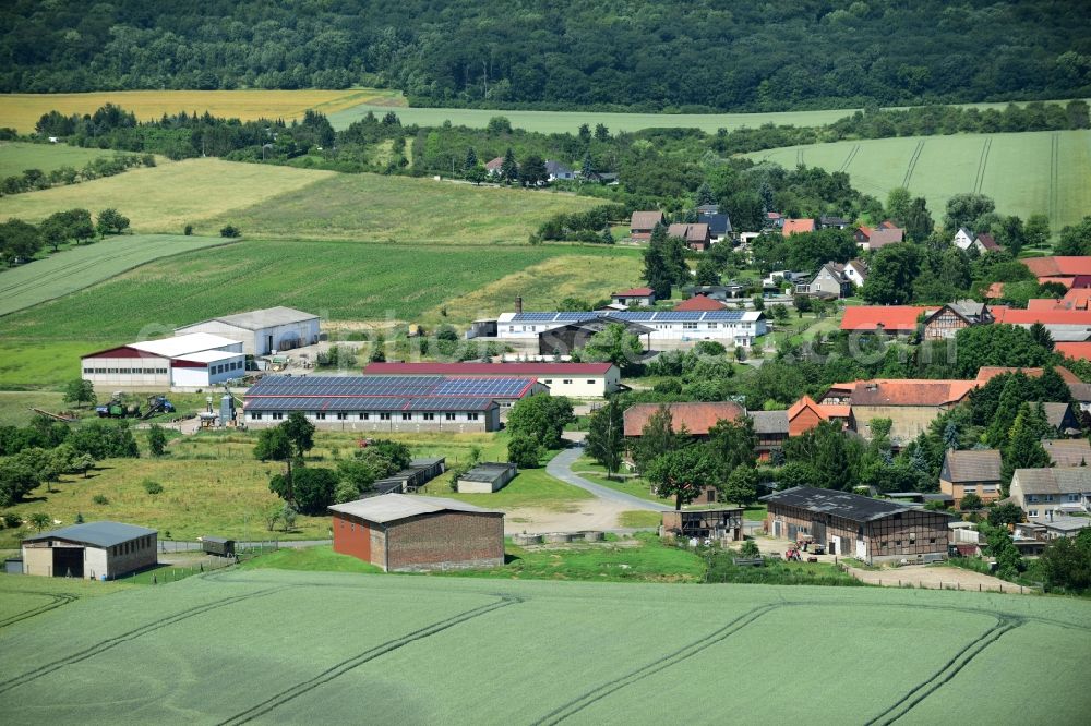 Sargstedt from above - Village view of Sargstedt in the state Saxony-Anhalt