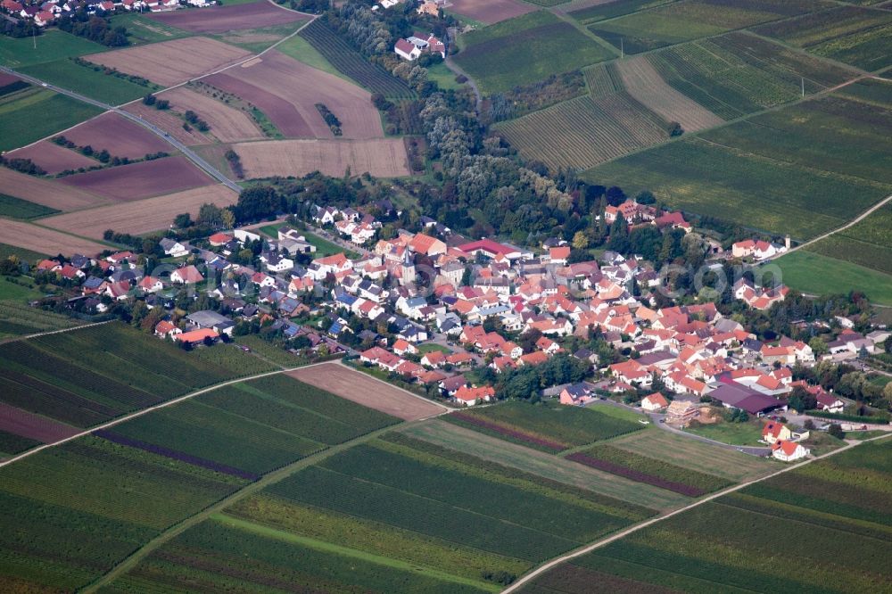 Aerial image Bissersheim - Village view of Sausenheim in Bissersheim in the state Rhineland-Palatinate