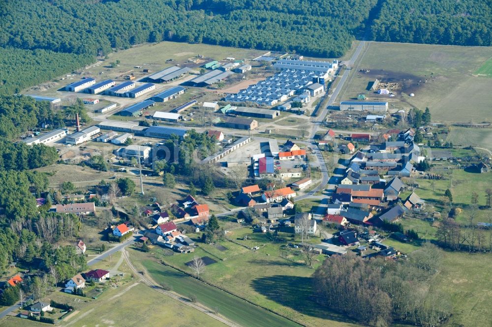 Aerial image Schadow - Village view in Schadow in the state Brandenburg, Germany