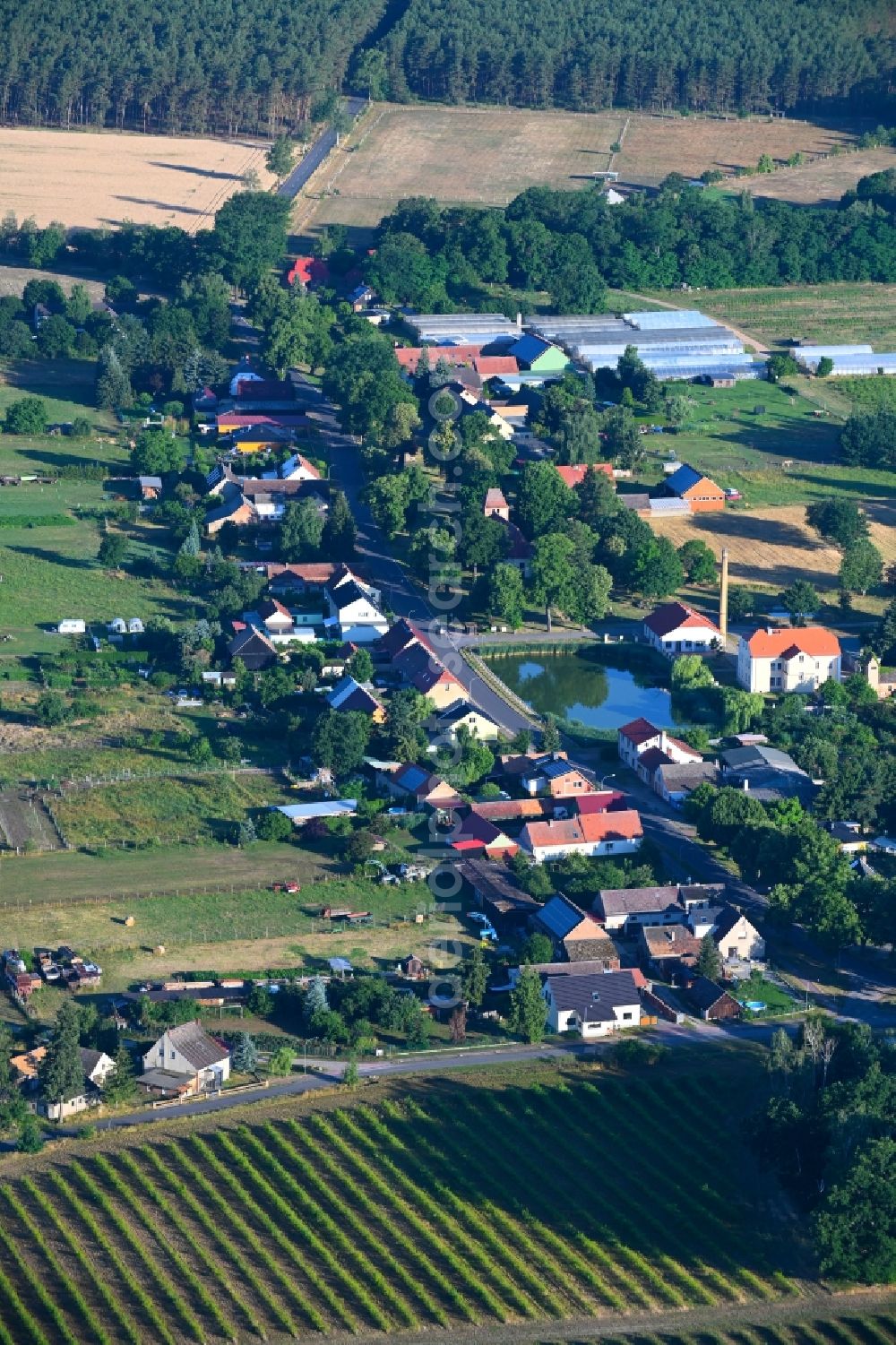 Aerial image Schenkendorf - Village view in Schenkendorf in the state Brandenburg, Germany