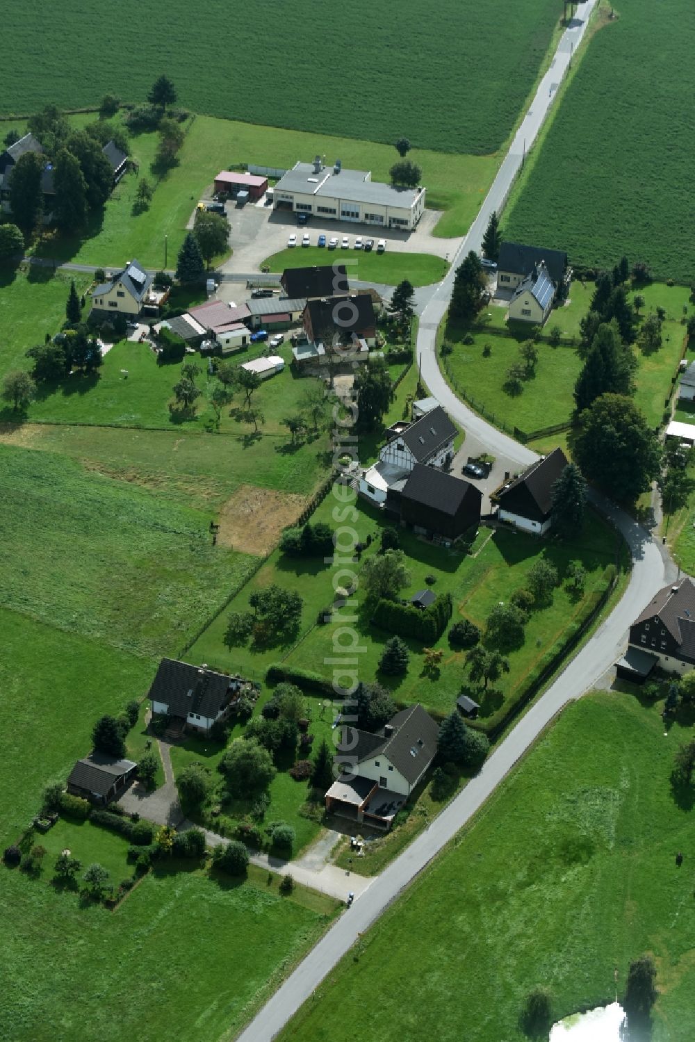 Beutha from the bird's eye view: View of the village of Beutha and car body shop Loescher in the state of Saxony