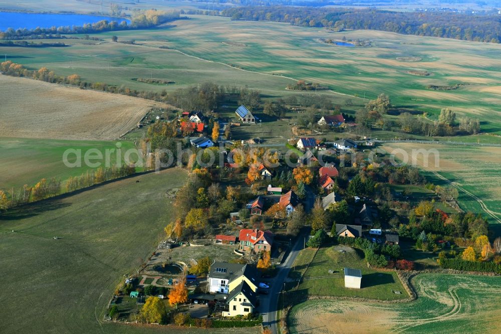 Siehdichum from the bird's eye view: Village view in Siehdichum in the state Mecklenburg - Western Pomerania, Germany