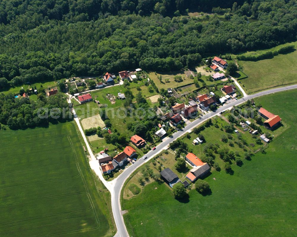 Stapelburg from the bird's eye view: Village view in Stapelburg in the state Saxony-Anhalt, Germany