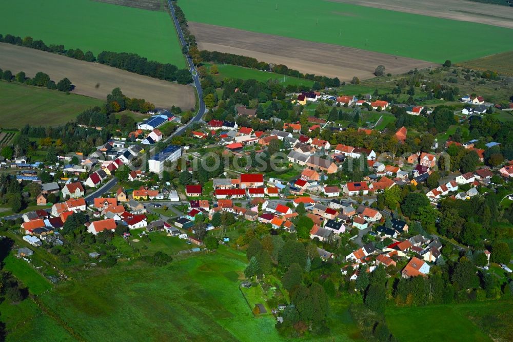 Temnitzquell from above - Village view in Temnitzquell in the state Brandenburg, Germany