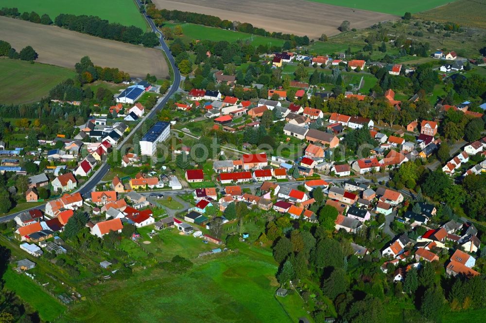 Temnitzquell from the bird's eye view: Village view in Temnitzquell in the state Brandenburg, Germany