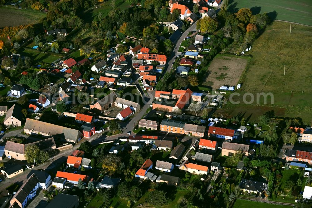 Aerial image Trebnitz - Village view in Trebnitz in the state Saxony-Anhalt, Germany