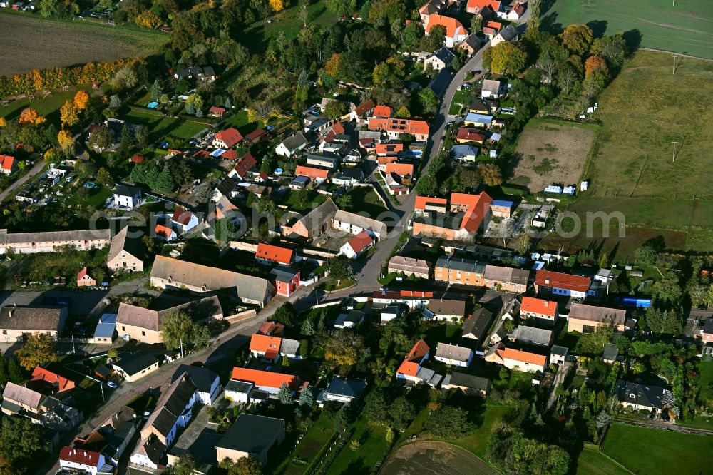 Aerial photograph Trebnitz - Village view in Trebnitz in the state Saxony-Anhalt, Germany