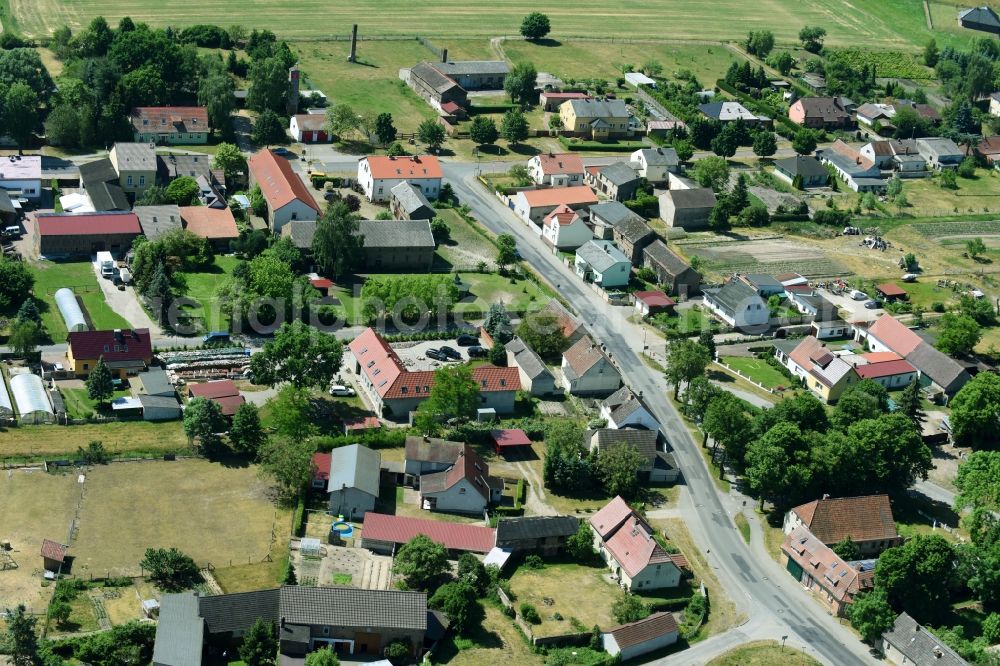 Trechwitz from the bird's eye view: Village view in Trechwitz in the state Brandenburg, Germany