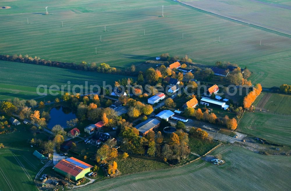 Aerial photograph Trostfelde - Village view in Trostfelde in the state Mecklenburg - Western Pomerania, Germany