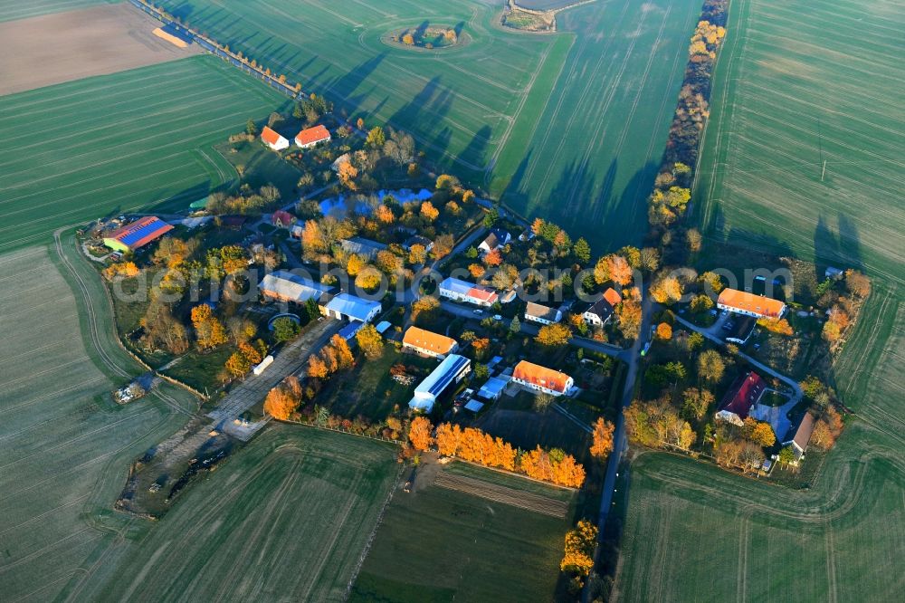 Trostfelde from the bird's eye view: Village view in Trostfelde in the state Mecklenburg - Western Pomerania, Germany