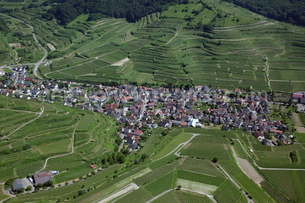 Vogtsburg im Kaiserstuhl from above - Village view of Vogtsburg im Kaiserstuhl in the state Baden-Wuerttemberg, situated among terraced vineyards