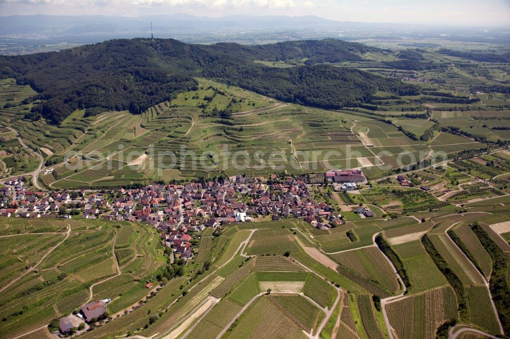 Vogtsburg im Kaiserstuhl from the bird's eye view: Village view of Vogtsburg im Kaiserstuhl in the state Baden-Wuerttemberg, situated among terraced vineyards