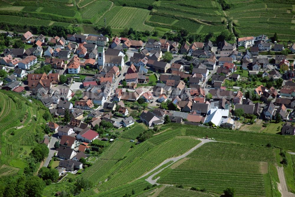 Vogtsburg im Kaiserstuhl from the bird's eye view: Village view of Vogtsburg im Kaiserstuhl in the state Baden-Wuerttemberg, situated among terraced vineyards