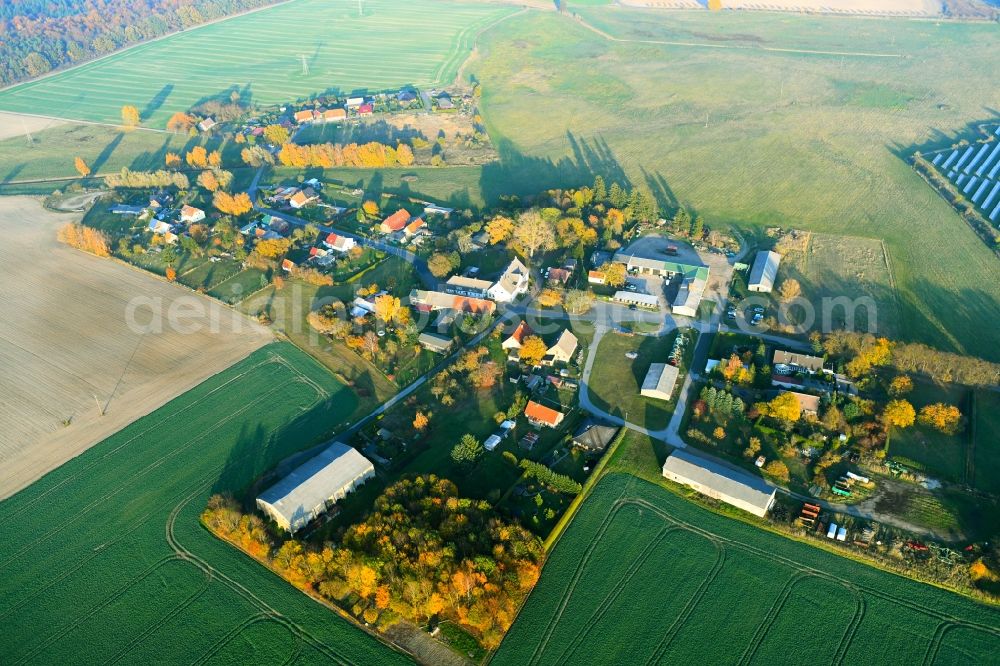 Warrenzin from the bird's eye view: Village view in Warrenzin in the state Mecklenburg - Western Pomerania, Germany