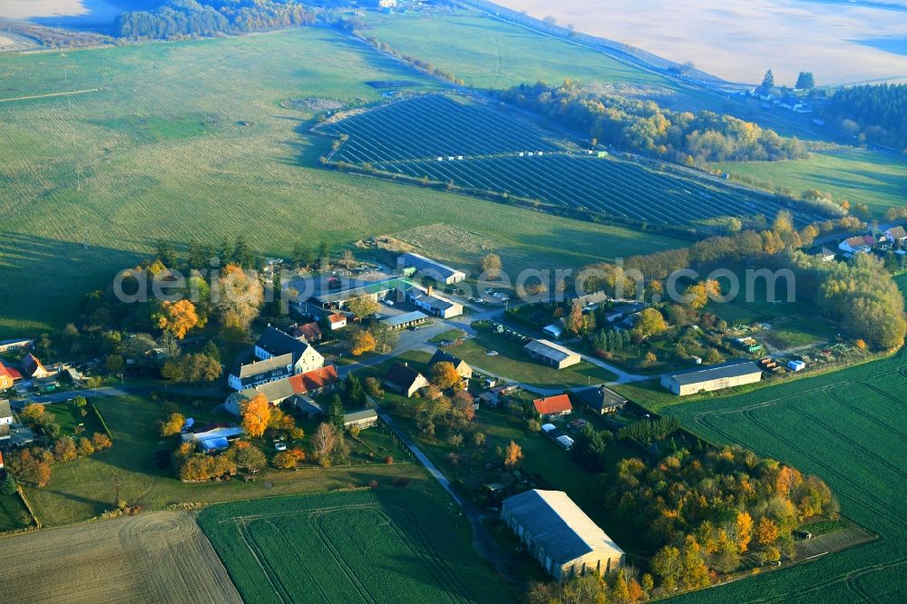 Warrenzin from the bird's eye view: Village view in Warrenzin in the state Mecklenburg - Western Pomerania, Germany