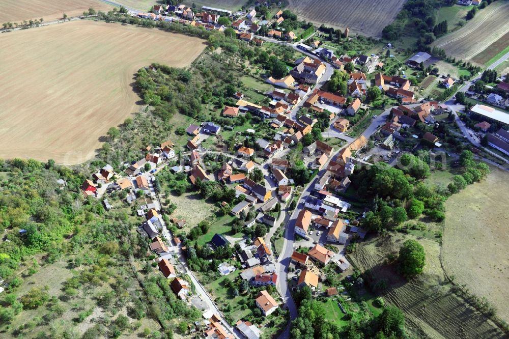 Wickerode from the bird's eye view: Village view in Wickerode in the state Saxony-Anhalt, Germany