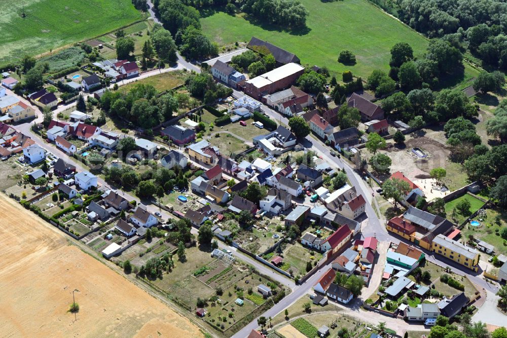 Wieskau from the bird's eye view: Village view on street Muehlenweg in Wieskau in the state Saxony-Anhalt, Germany