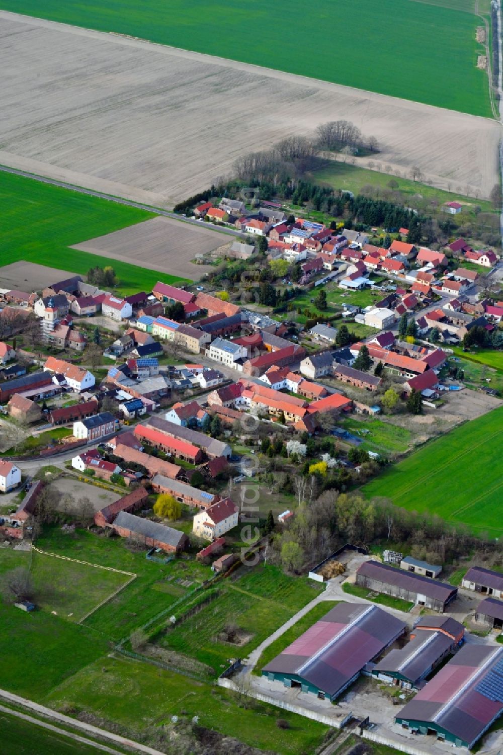 Aerial image Zitz - Village view in Zitz in the state Brandenburg, Germany